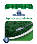 Szpinak rozdrobniony